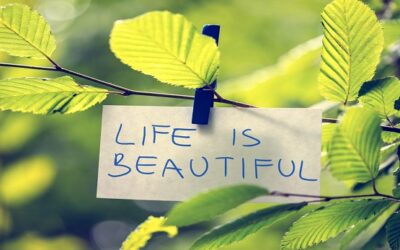 Most of us do our best not to talk about death