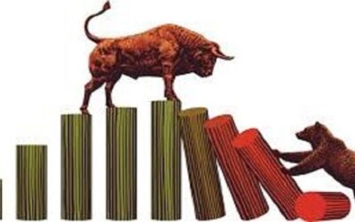 It’s No Bull, It’s Mostly Bear