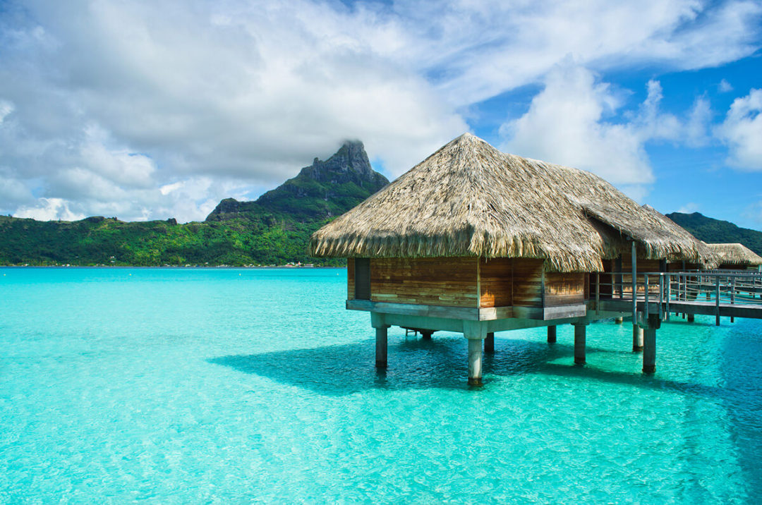 Island Hut | VaultAISâ¢