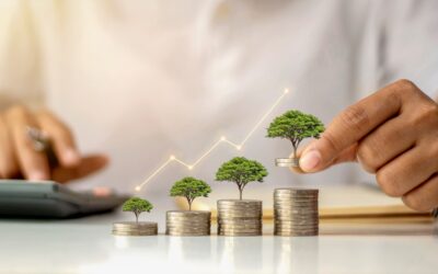 How To Build Wealth with Dividend Paying Whole Life Insurance
